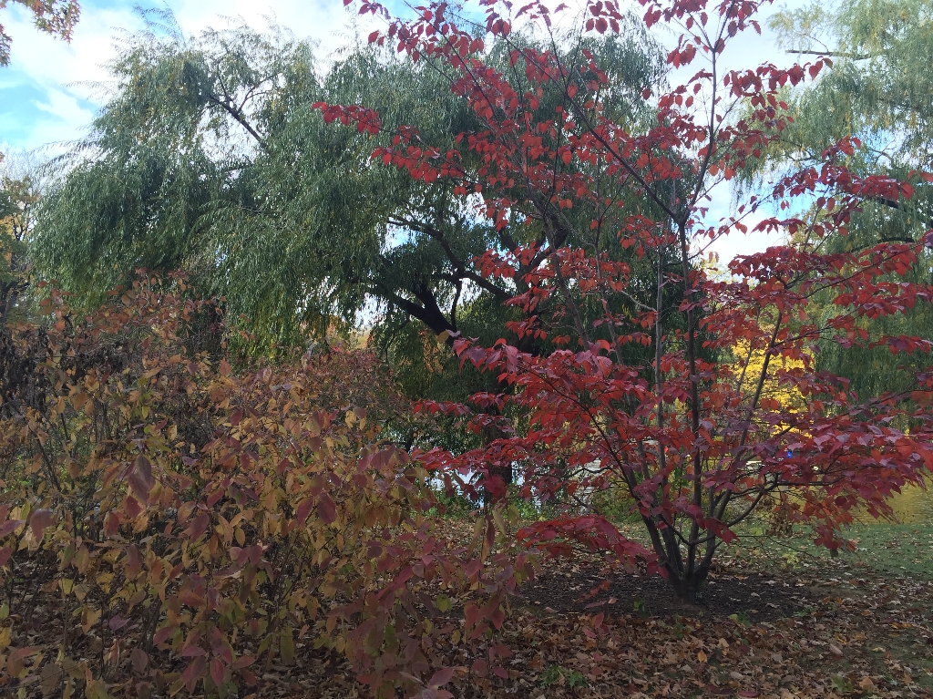 IMG_2405.JPG